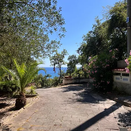 Apartment Duchessa *